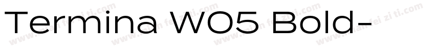 Termina W05 Bold字体转换